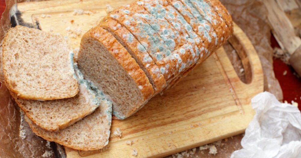moldy-bread-feature-1030x707-1