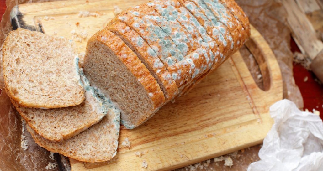 moldy-bread-feature-1030x707-1