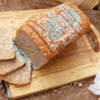 moldy-bread-feature-1030x707-1